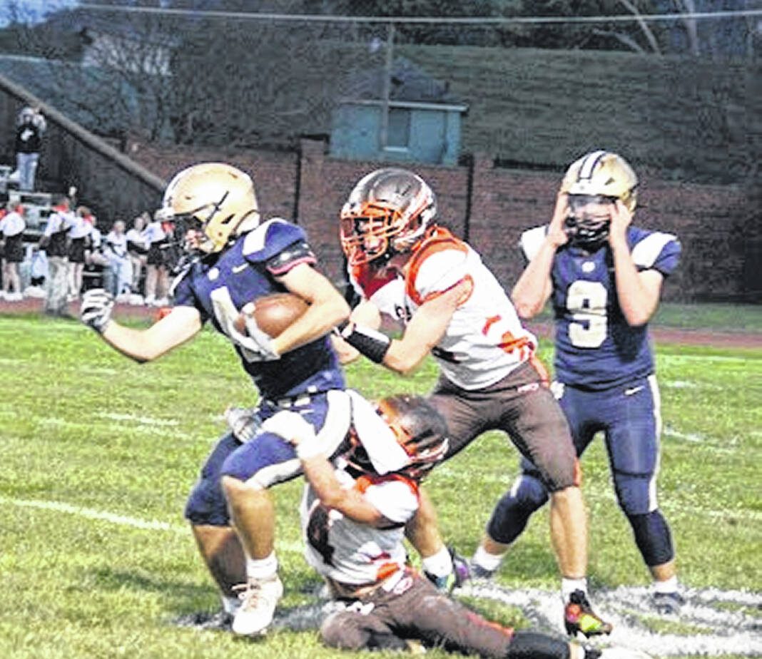 Titans beat down Bengals - Portsmouth Daily Times