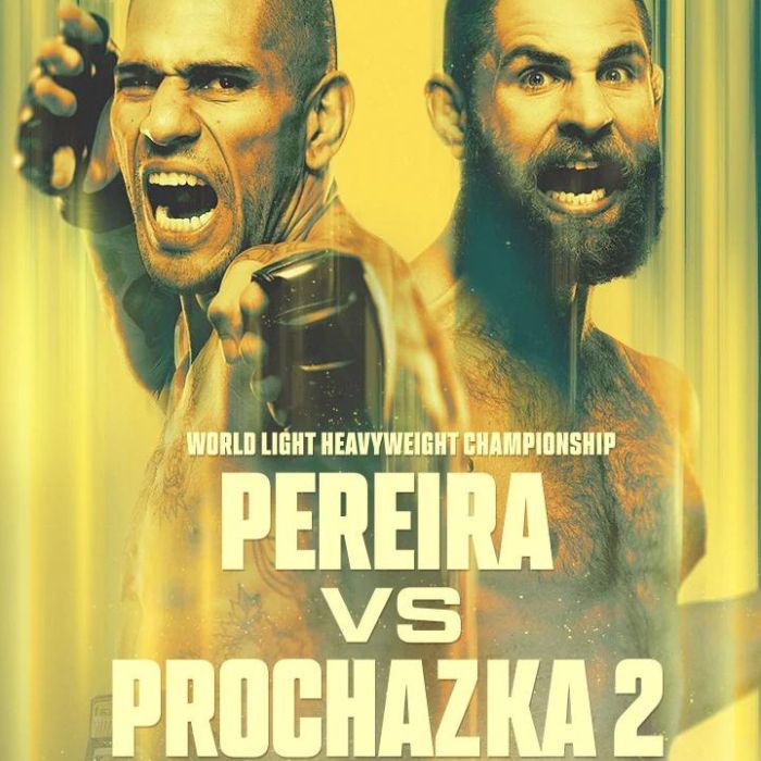 FightNight!! UFC 303 Pereira vs Procházka 2 Live Stream Free